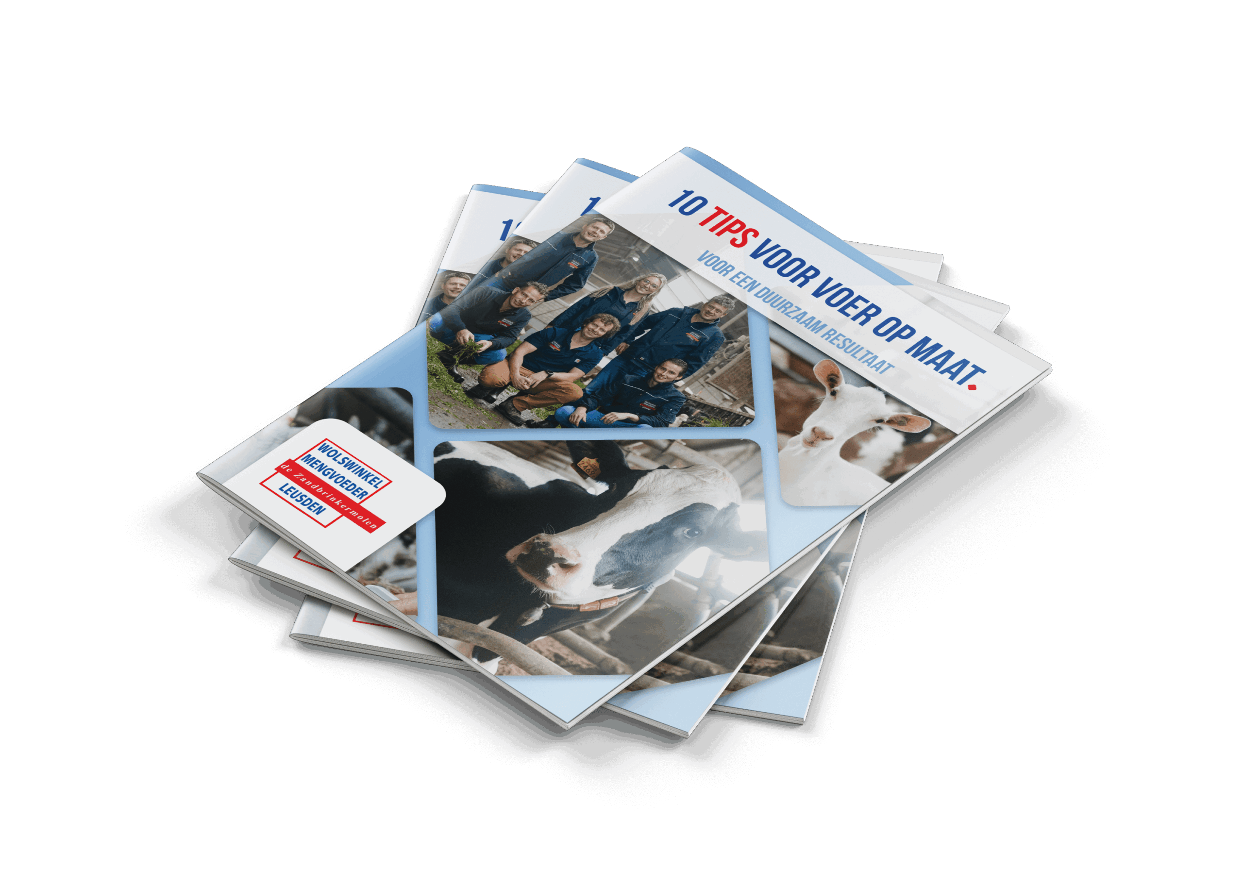 A4_Brochure_Mockup_V2_WEB
